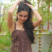 Actress Sheena Shahabadi latest Photos | Picture 46683